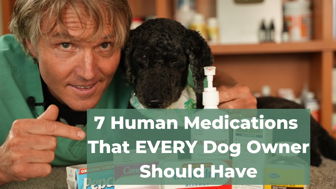 7 OTC Human Medications Safe And Effective For Dogs - Good Canna